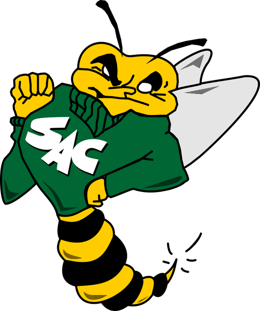 Sacramento State Hornets 1991-2003 Primary Logo diy DTF decal sticker